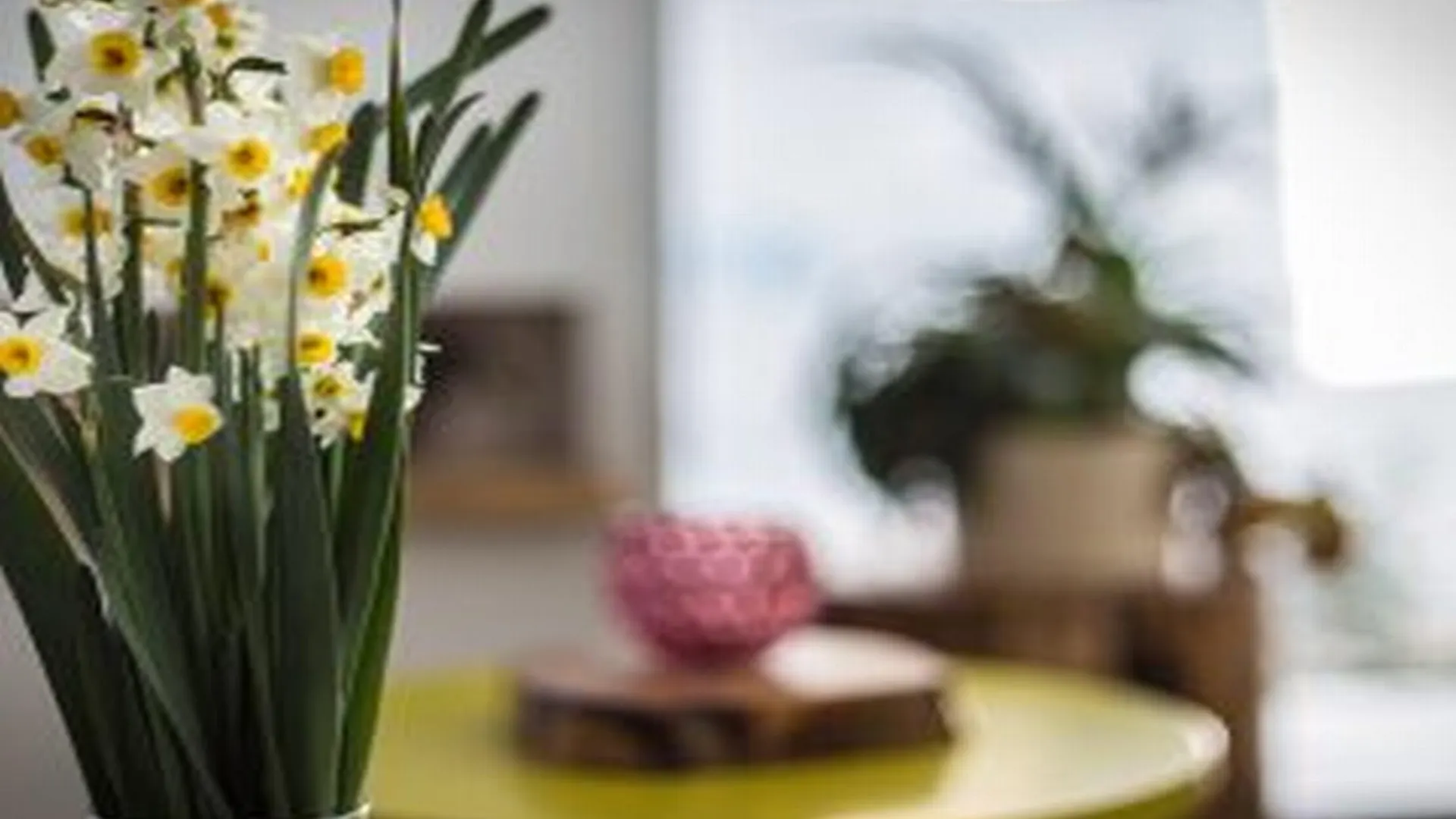 Island Boutique Hotel Larnaca