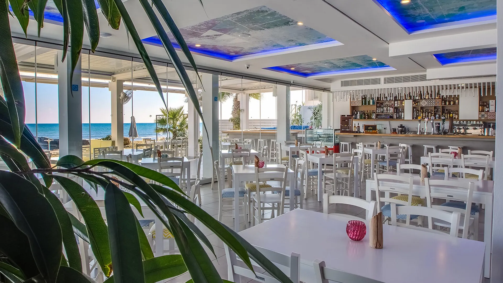 Island Boutique Hotel ラルナカ
